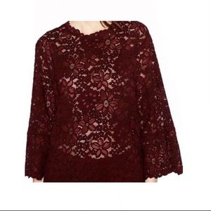 ZARA Woman Burgundy Lace Floral Wide Sleeve Top Size M